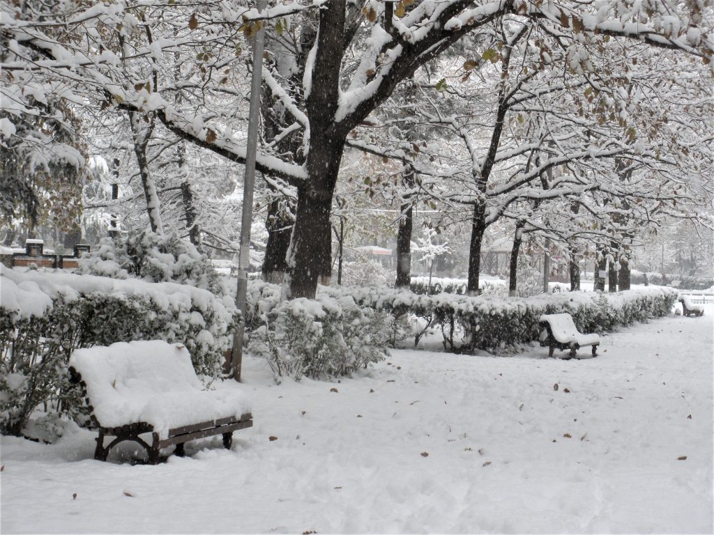 It must have been snowing all night