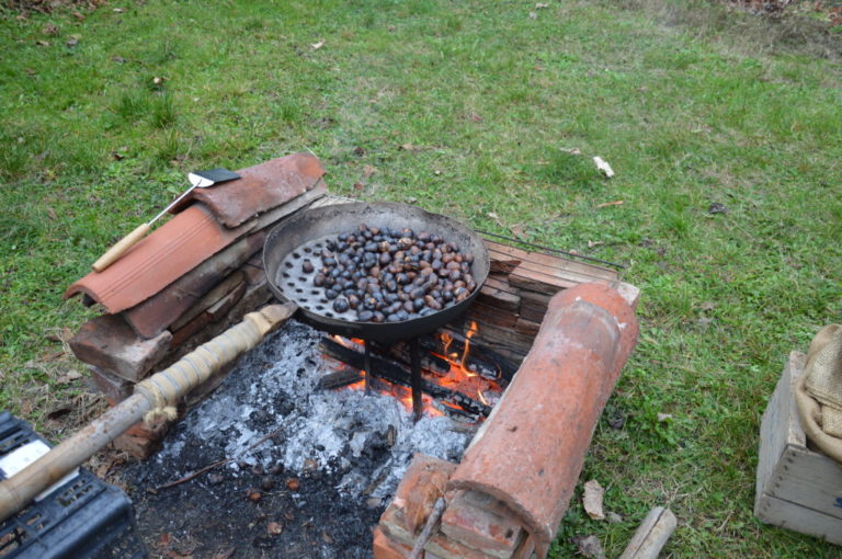 Piccola castagnata