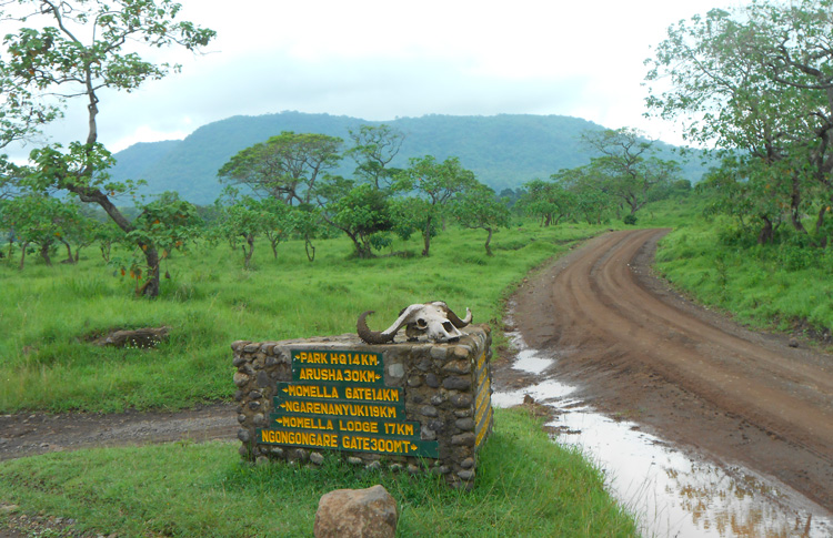 Arusha National Park, 6-8 April 2013