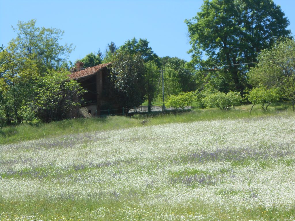 A house we like